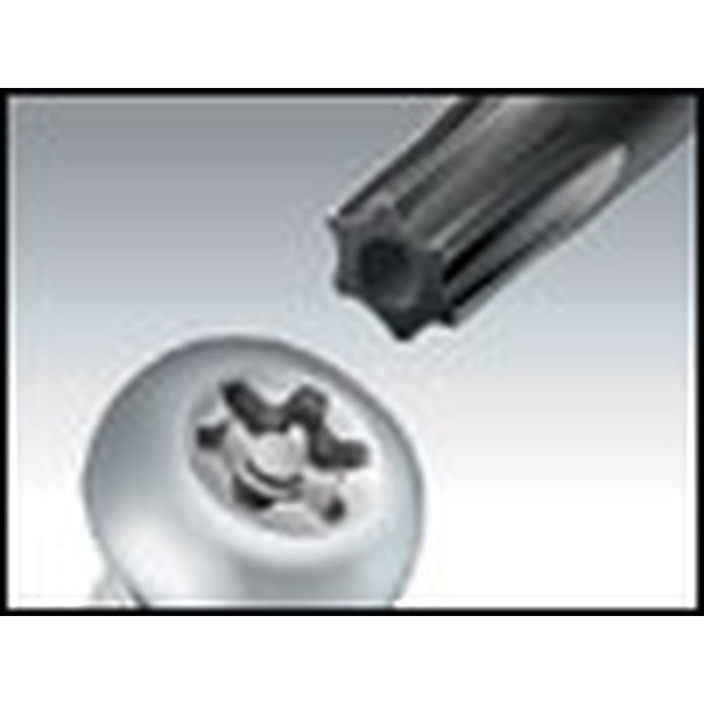 Отвертка звездообразная (Torx) ProsKit 89400-T06H с антивандальной защитой