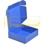 Warmbier 5510.913. Защитные транспортные коробки SAFESHIELD